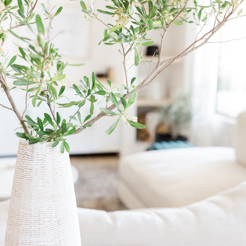 Basic Personal Feng Shui Consultation