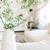 Basic Personal Feng Shui Consultation