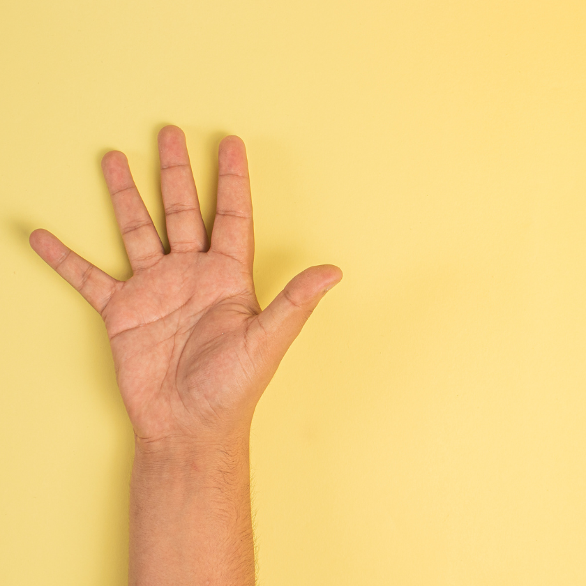 Palm Reading + Metaphysical Chart